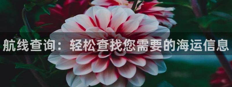 欢迎来到公海欢迎来到赌船710