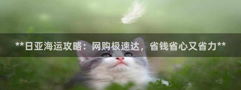 欢迎来到公海