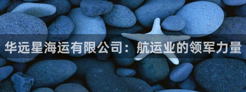 欢迎来到海边