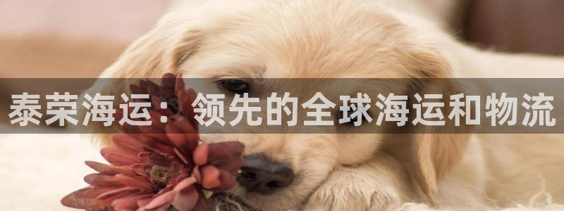 公海赌赌船贵宾会员检测路线