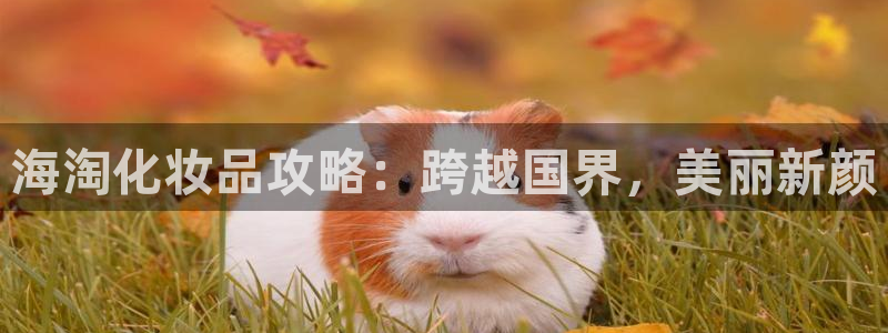公海赌赌船官网jc710公海