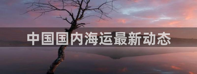 欢迎来到g港
