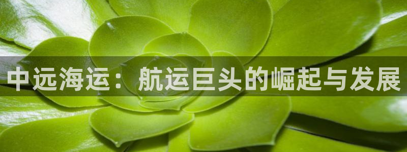 欢迎来到公海710官网