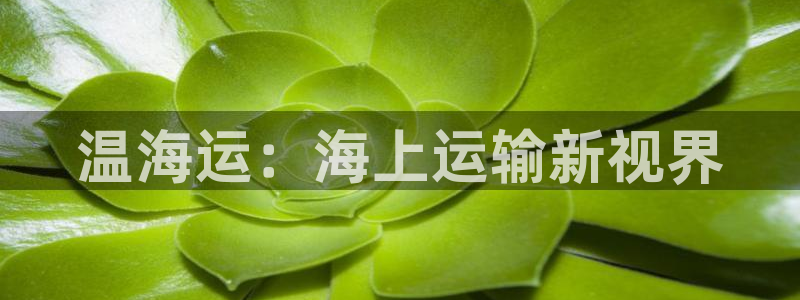 公海赌赌船最新版本更新内容