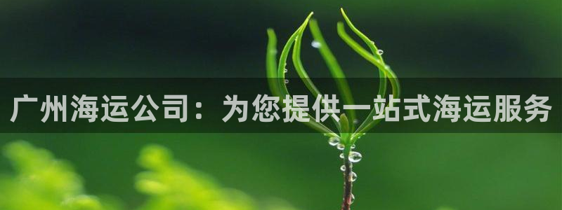 欢迎来到公海堵船