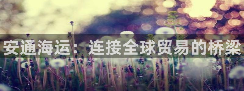 公海赌赌船官网可以做代理吗