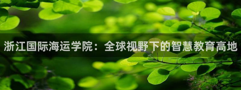 公海赌船吧