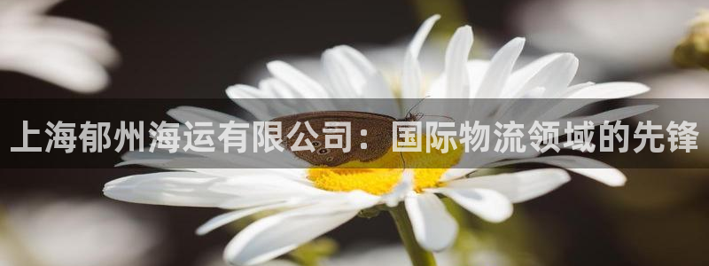 公海赌钱犯法吗