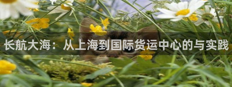 欢迎您来到公海欢迎您来到赌船