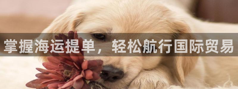 公海赌博为什么没人管