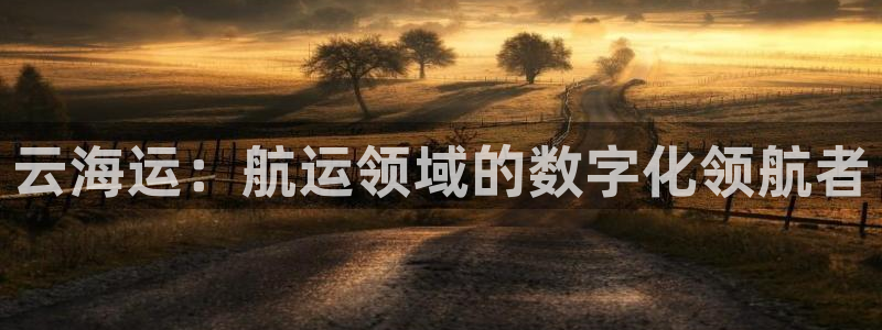 公海赌赌船官网可以做代理吗