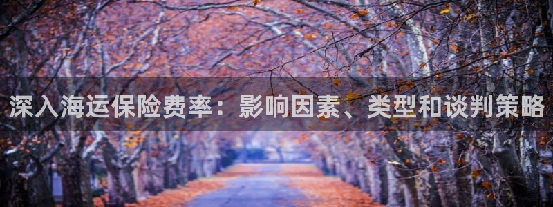 欢迎来到公海电脑版
