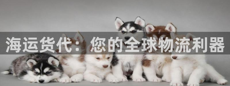 欢迎来到公海欢迎来到赌船710