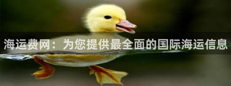 欢迎来到公海欢迎来到赌船