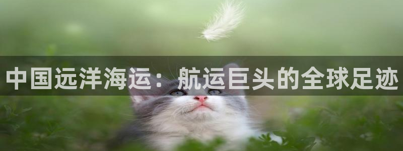 在公海赌博犯法吗