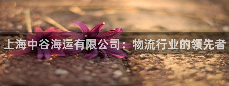 欢迎来公海欢迎来赌船欢迎