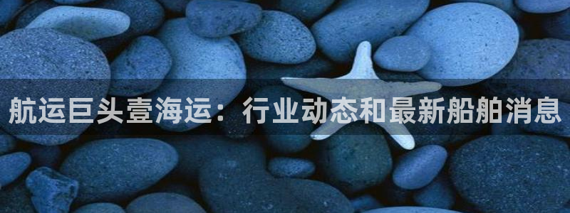 公海赌赌船官网图标