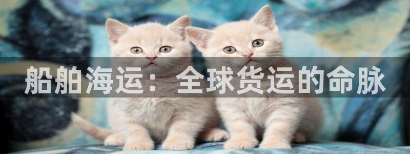 欢迎来公海欢迎来赌船欢迎