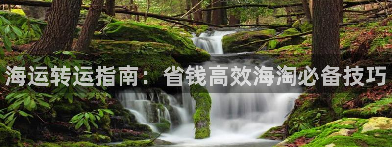 公海赌赌船手机下载