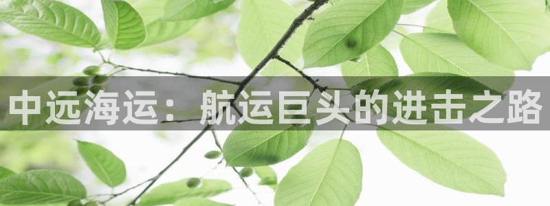 欢迎登船