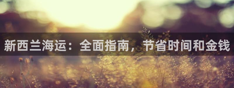 公海赌船网址710