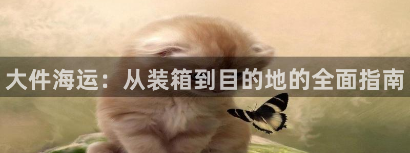 欢迎你来到公海 赌船