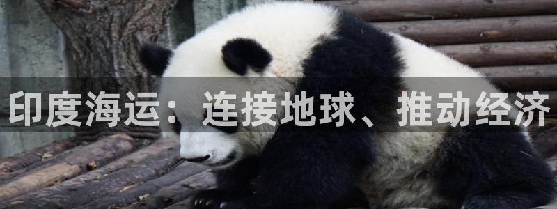 公海赌赌船官网710忘记账号了