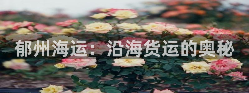公海赌赌船jcjc710
