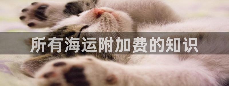 公海赌赌船最新版本更新内容