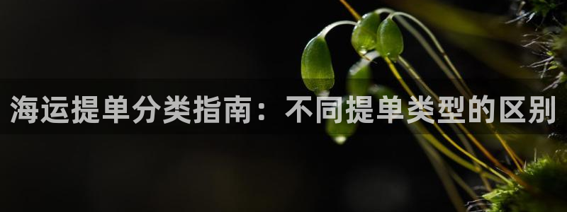 欢迎来到公海手机版710