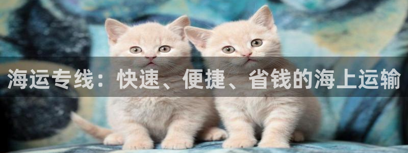 欢迎来到公海.欢迎来到赌船