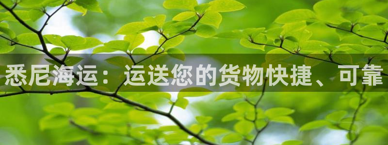 欢迎来到海边