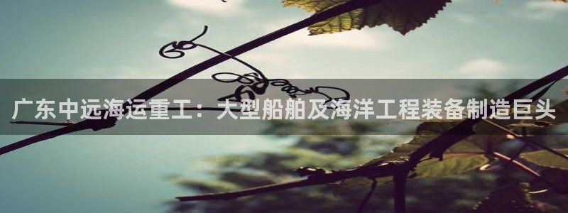 公海赌钱