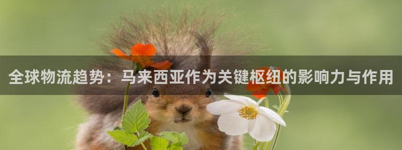 公海赌钱违法吗