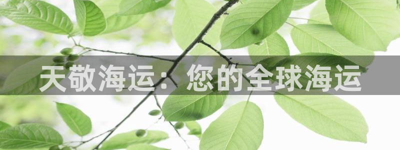 公海赌赌船官网真的吗