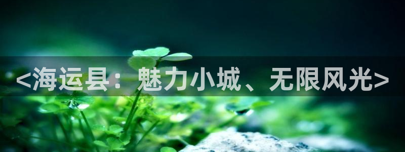 欢迎来到公海电脑版