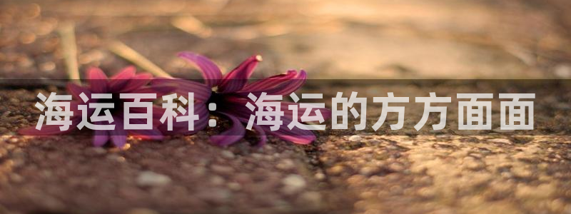 欢迎来到公海7109线路