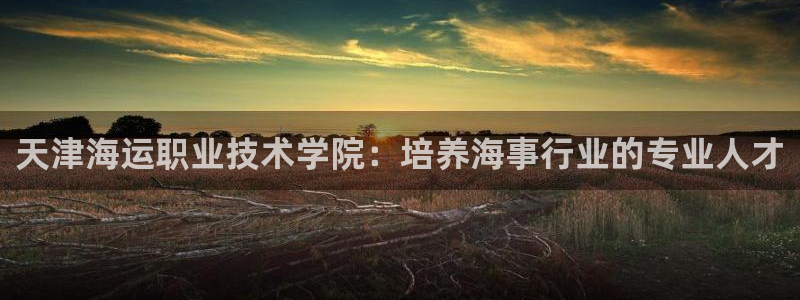 欢迎来到公赌船